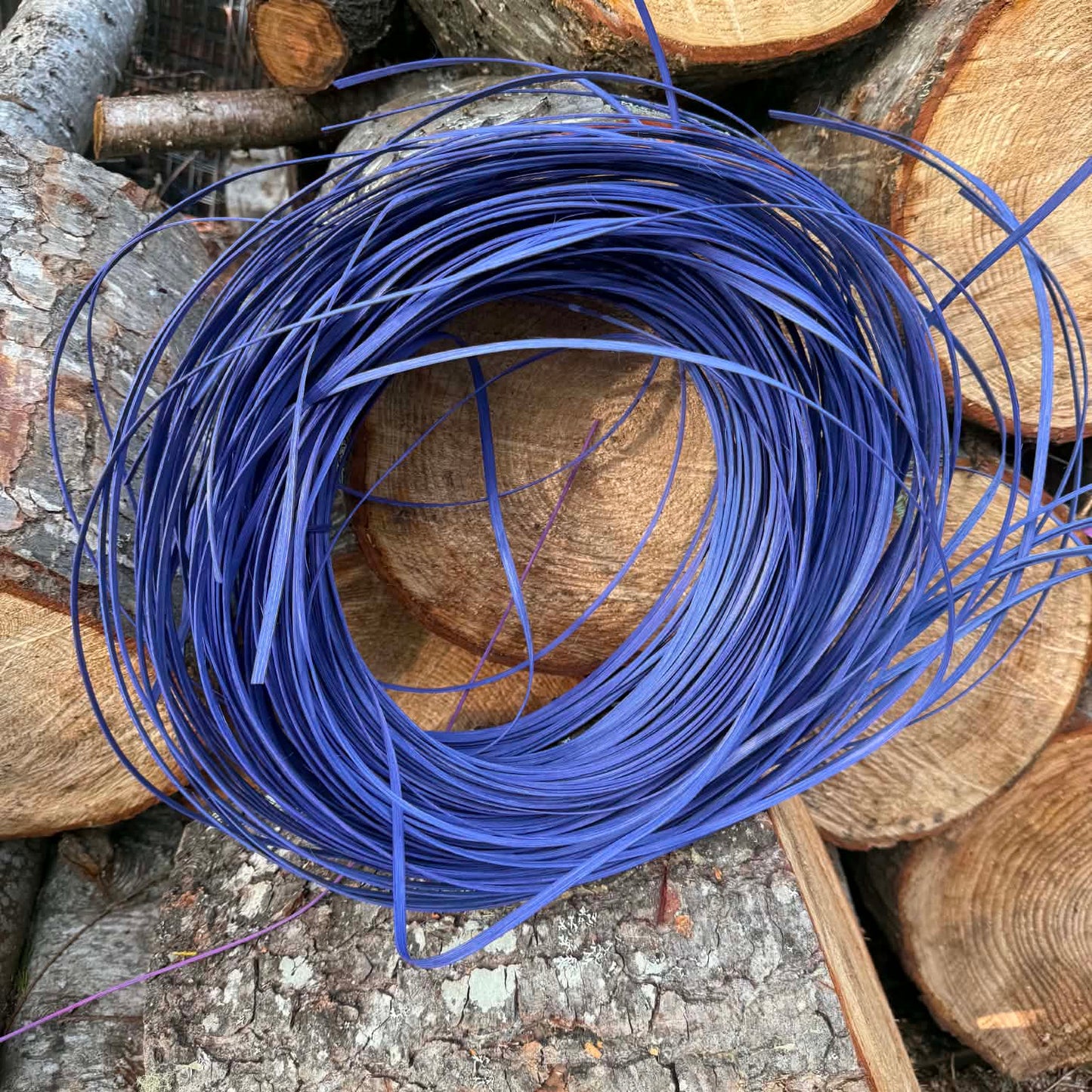 Iris 3/4" Reed One Pound (second and patchy discounted)