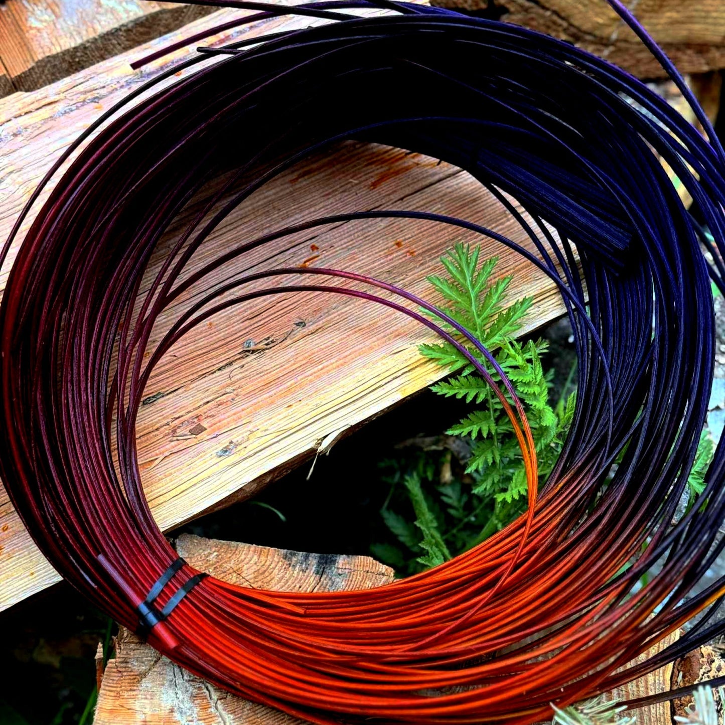 Gretchen's Rave Reed Bundle