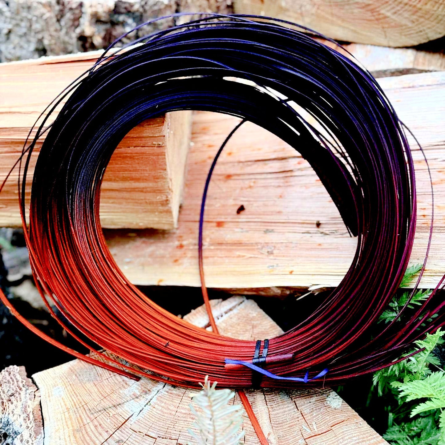 Gretchen's Rave Reed Bundle