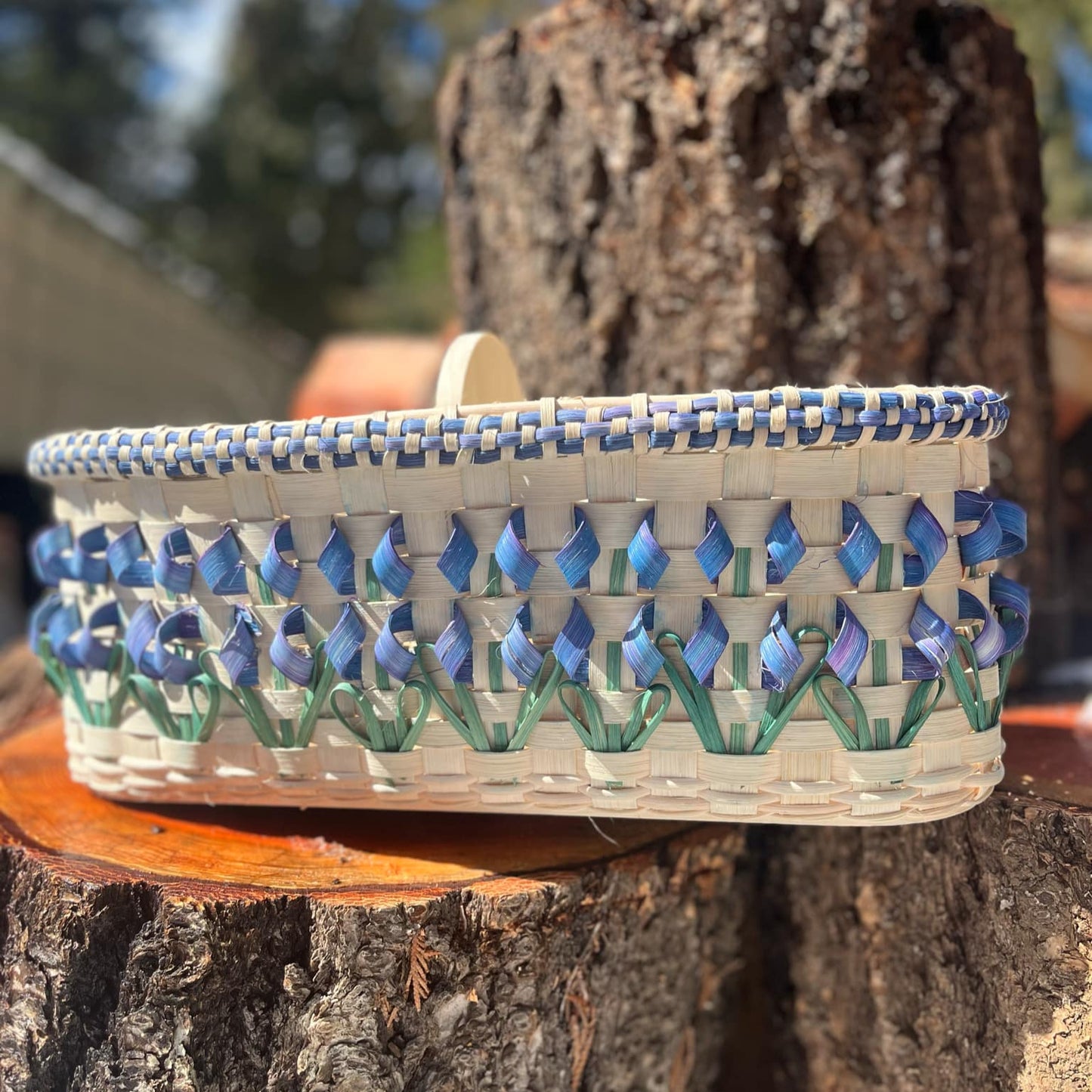 Blue Bonnet Caddy Pattern and Video Bundle