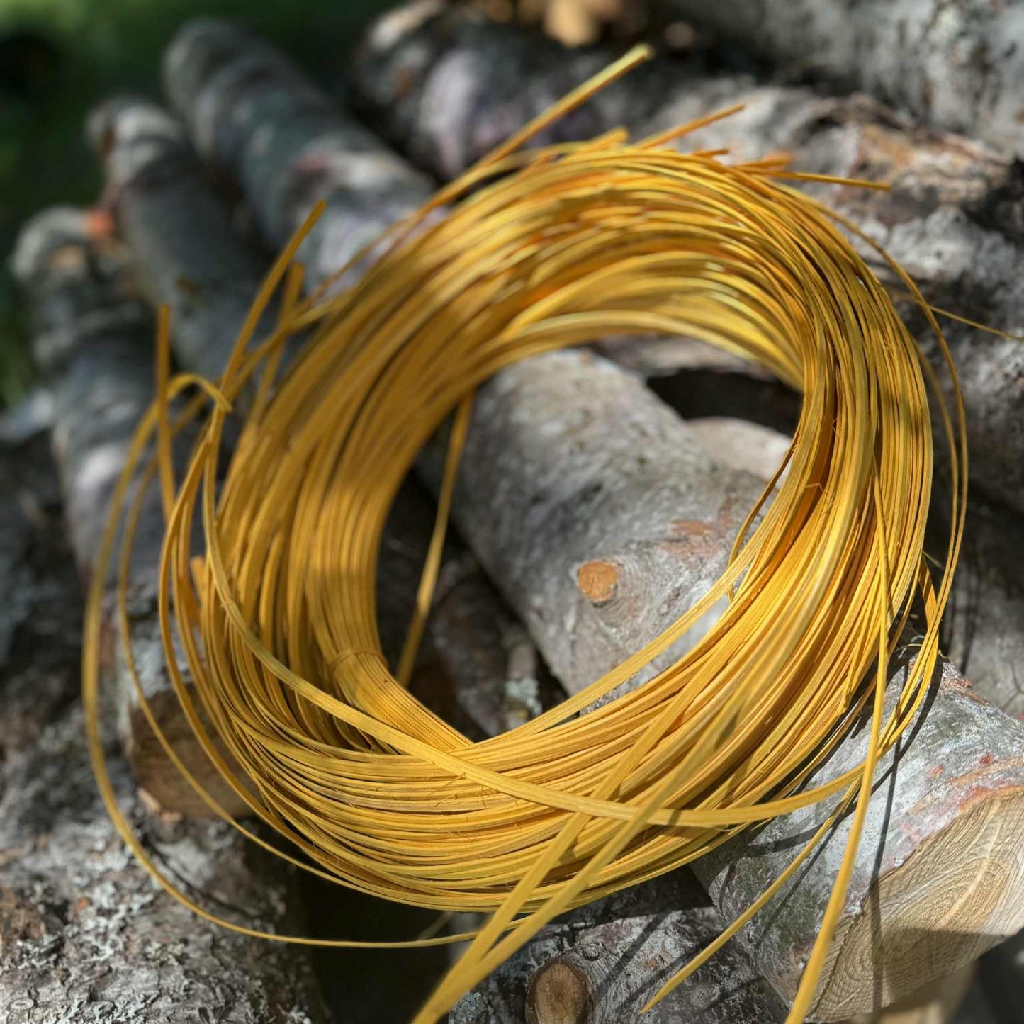 Apple Harvest 1/4" FO Solid Colorway Bundle