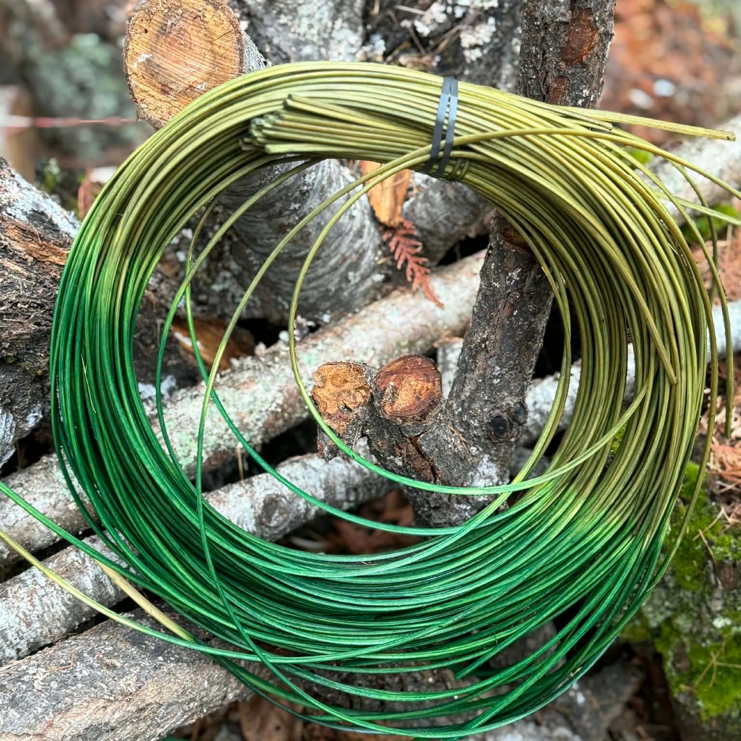 Oscars Ombre 1/4" OVAL OVAL Reed One Pound