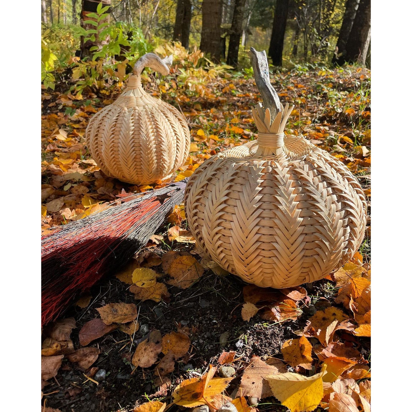 Pumpkin Duo Bundle