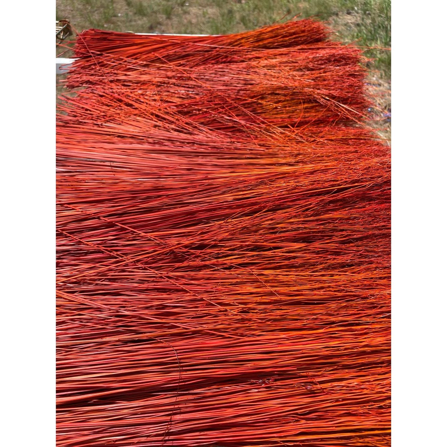 BROOM MAKING: DYED (and natural) BROOM CORN