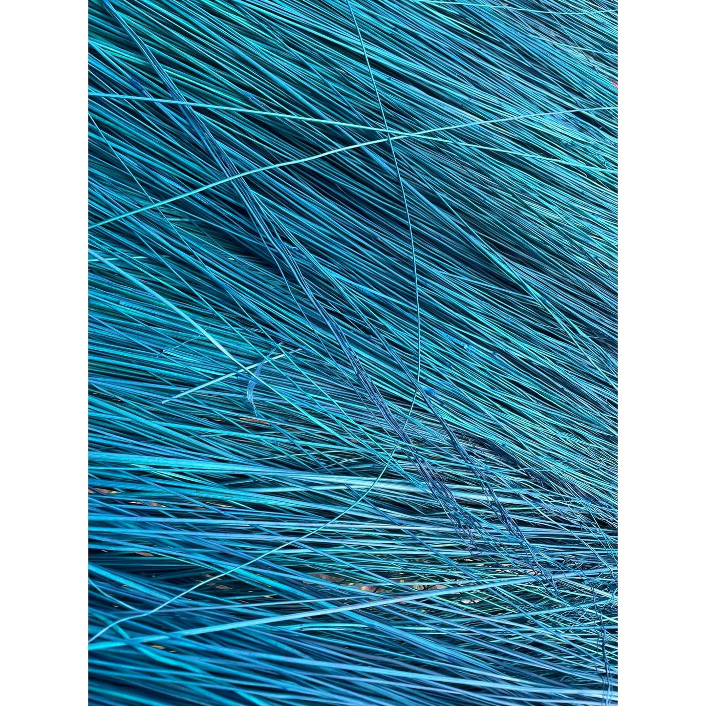 BROOM MAKING: DYED (and natural) BROOM CORN