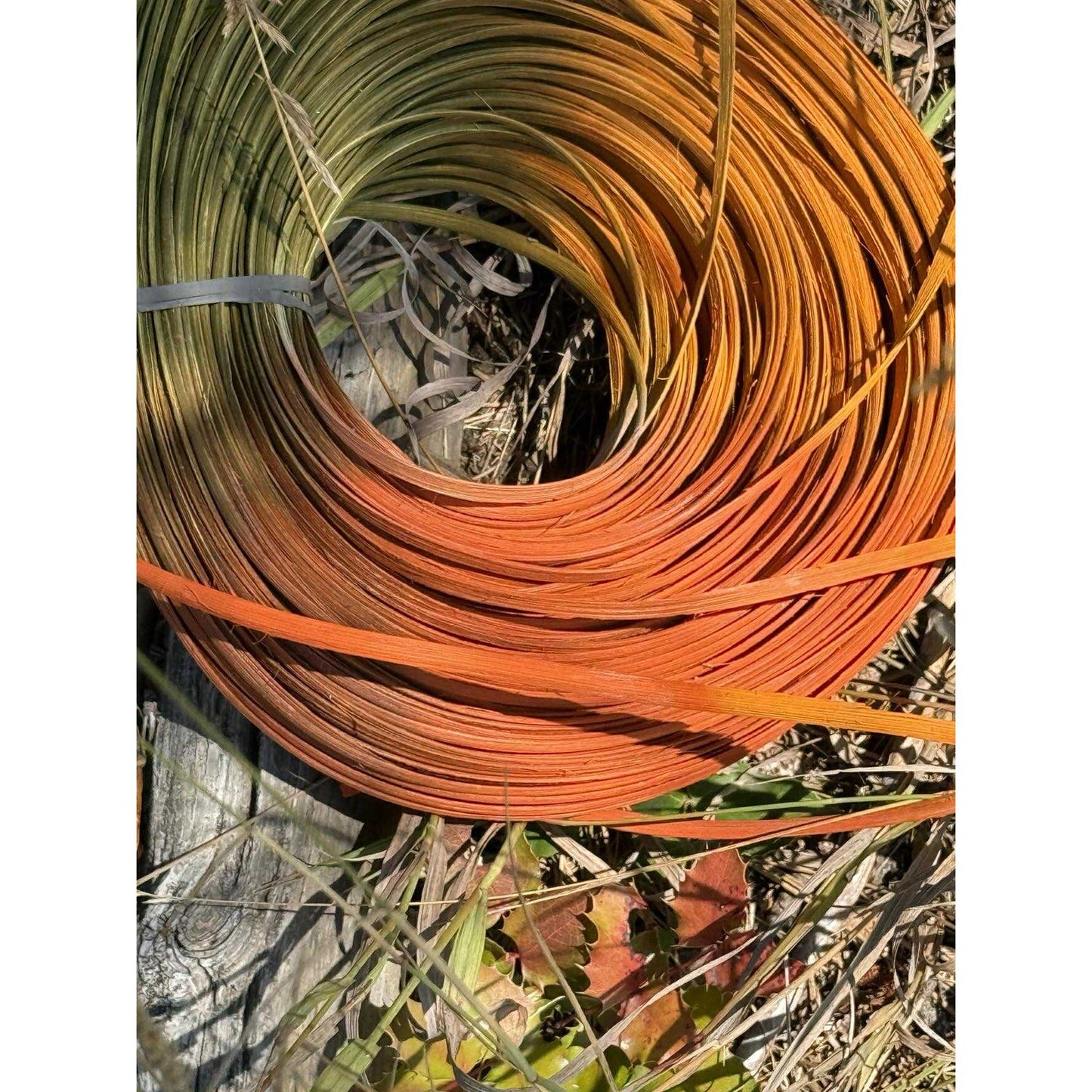 PUMPKIN spice space dyed reed
