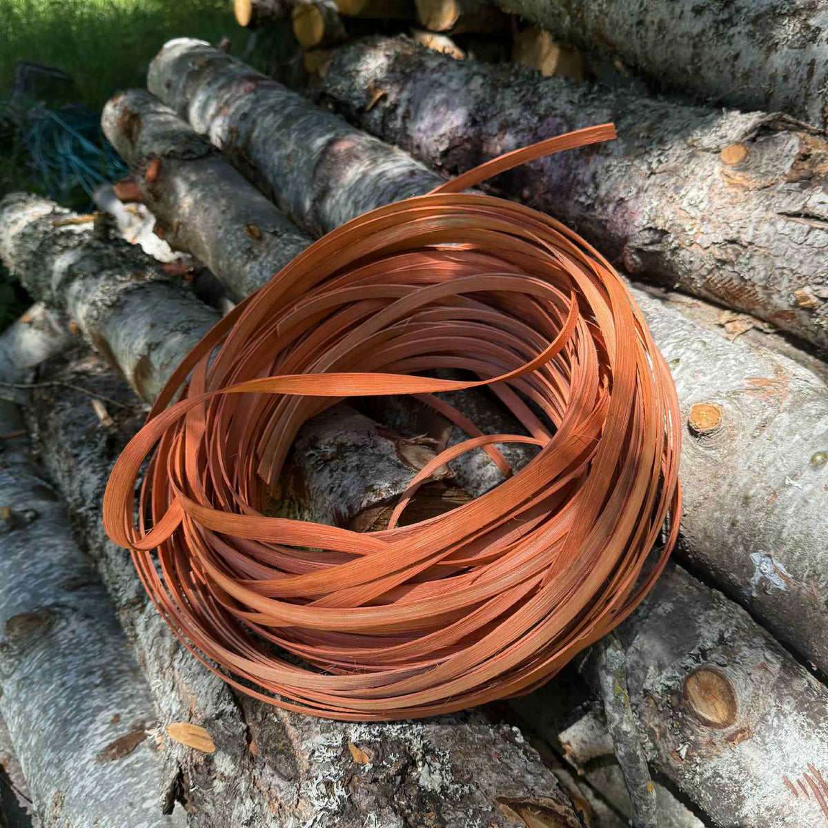 #2 Round Pumpkin Reed