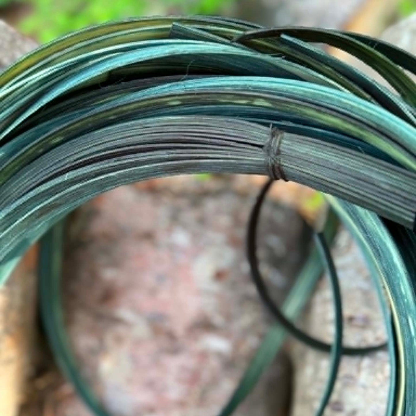 DYE HOUSE ROCKS: Evergreen 1/4" FO Reed One Pound