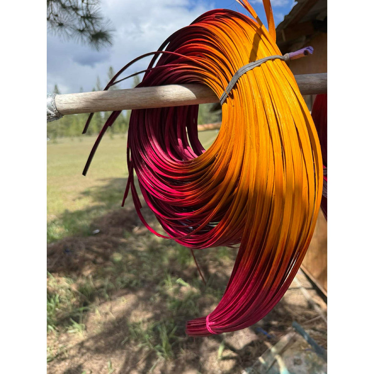 DYE HOUSE ROCKS: WILD ROSE