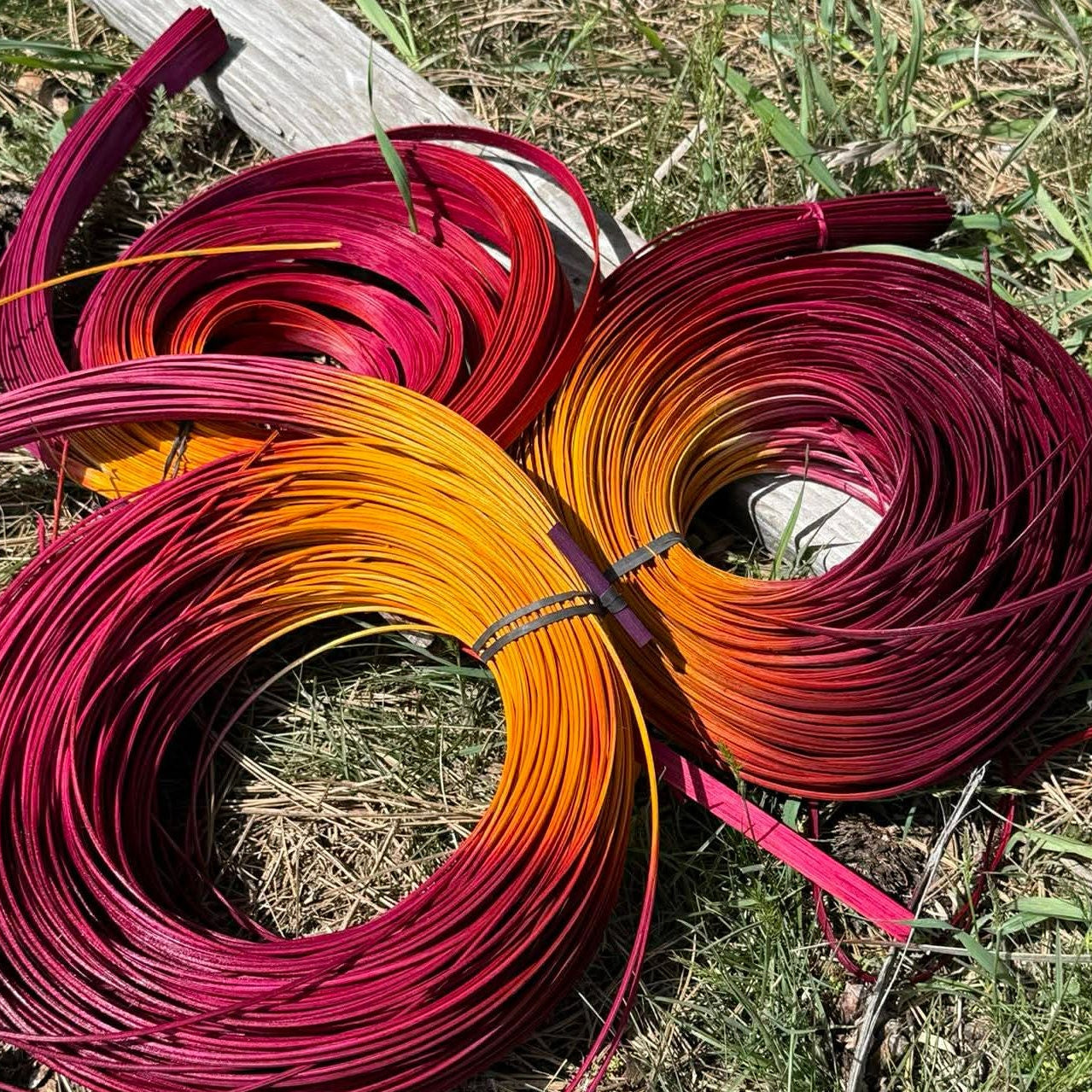 DYE HOUSE ROCKS: WILD ROSE 1/4" Flat Oval Reed