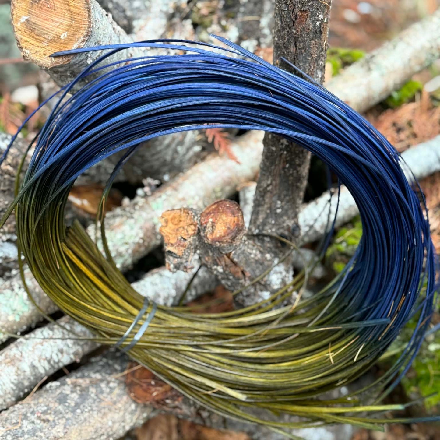 Midnight Tundra 1/4" Flat Oval Reed One Pound