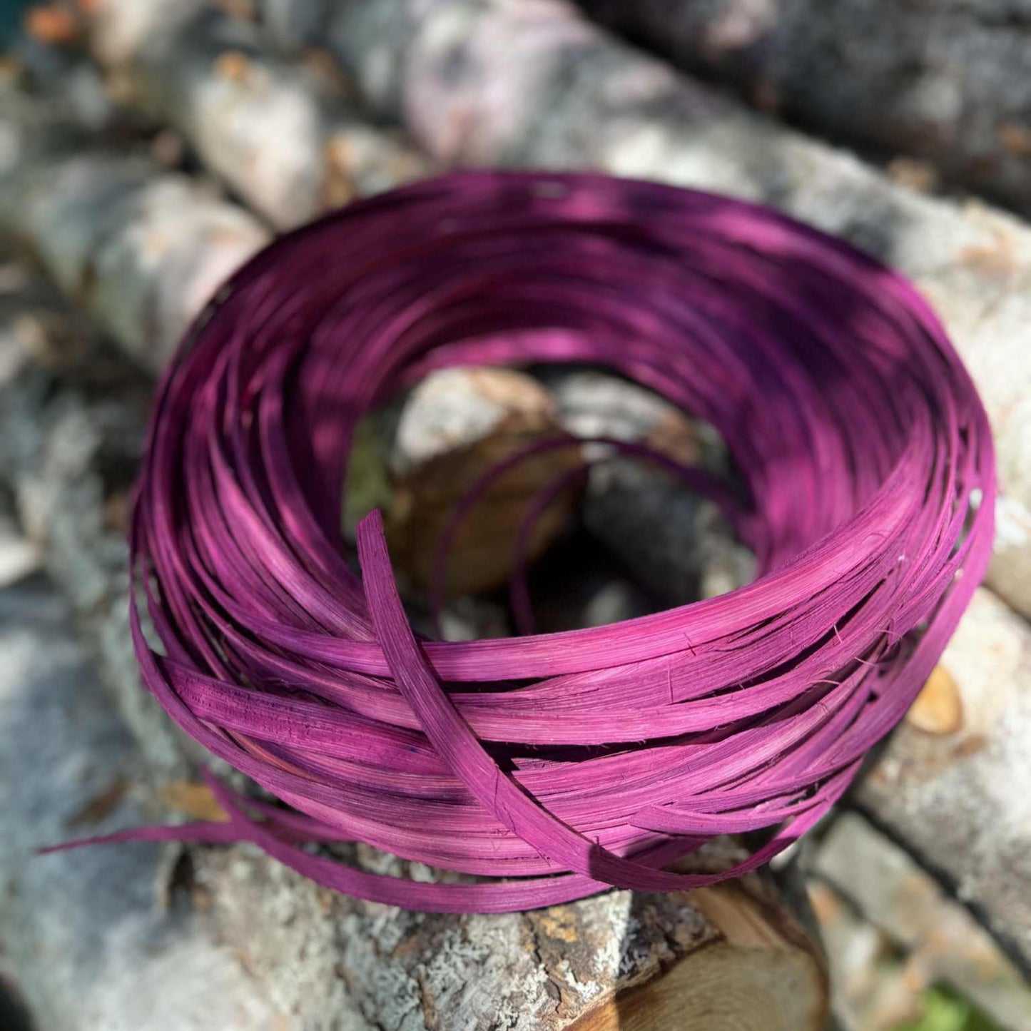 Raspberry Bundle