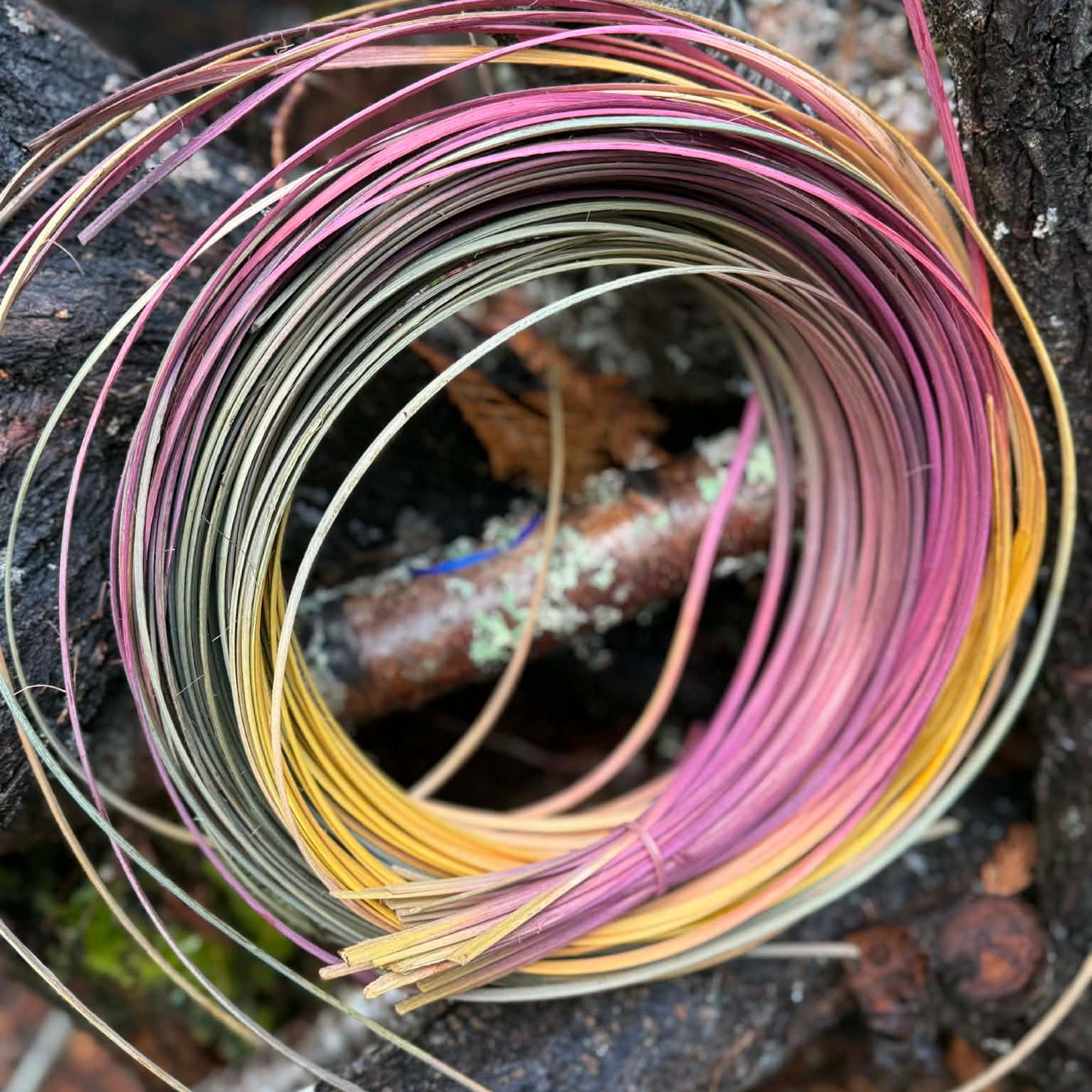 1/4" FO Fall Space Dye One Pound