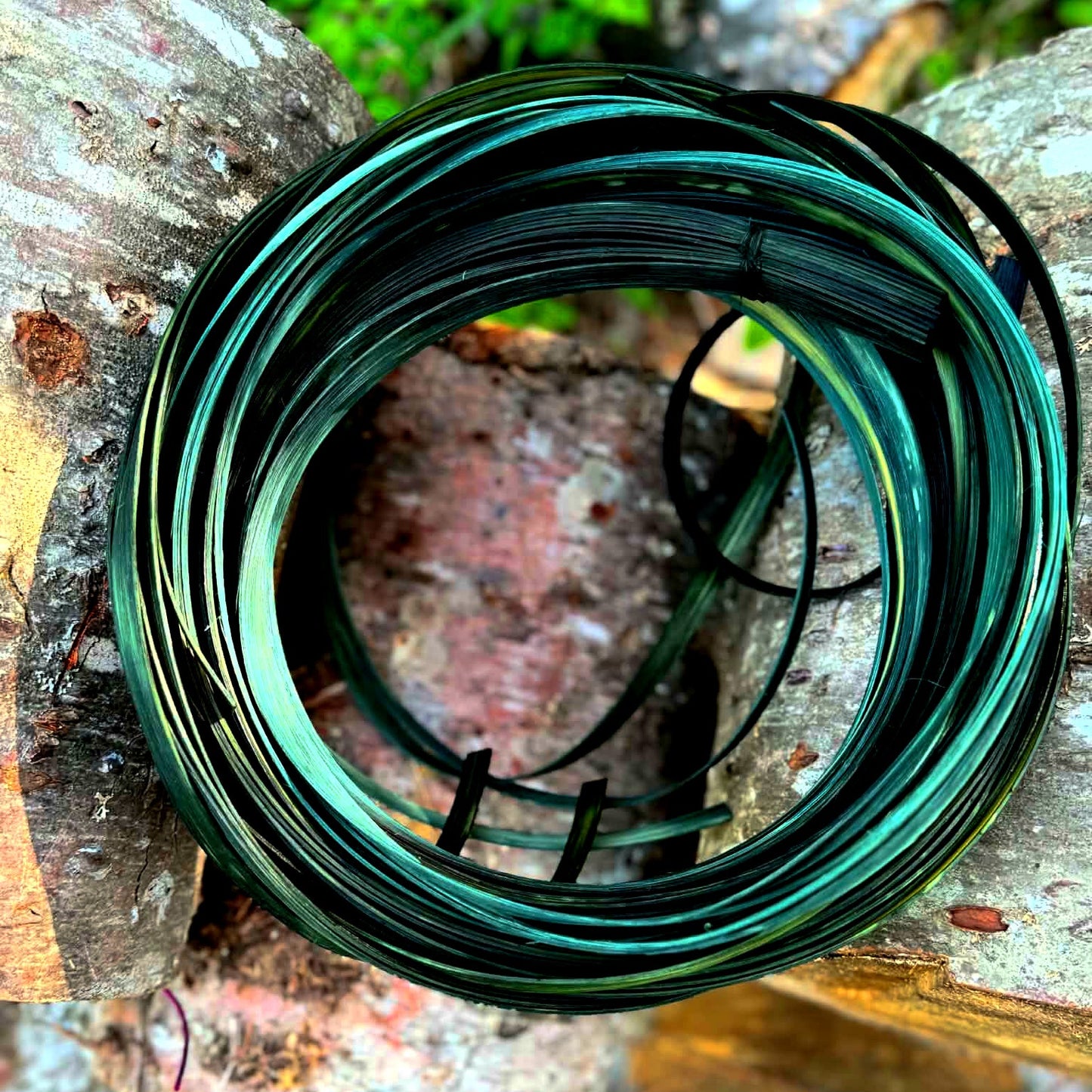 Evergreen 3/16" Flat Reed
