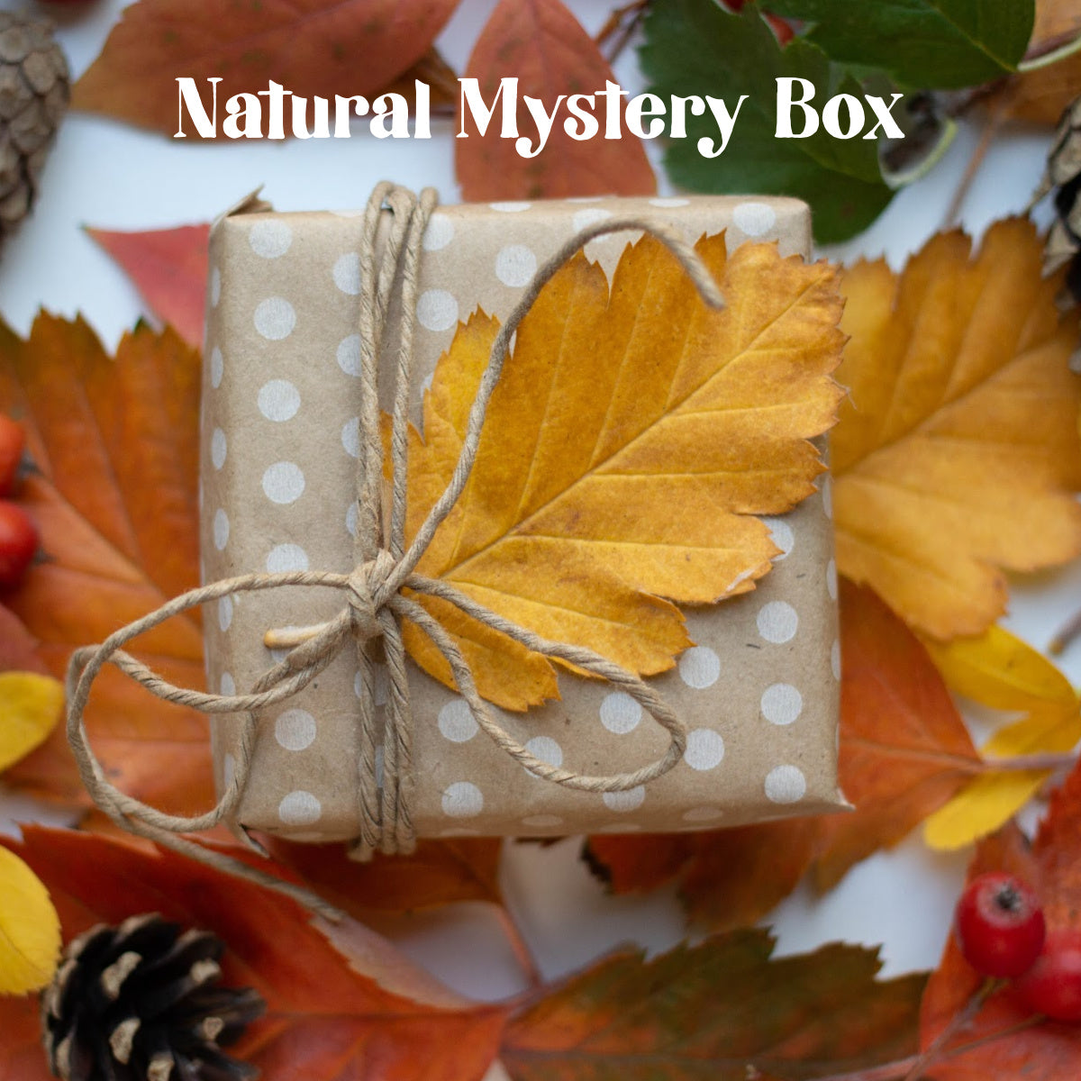 Natural Mystery Box
