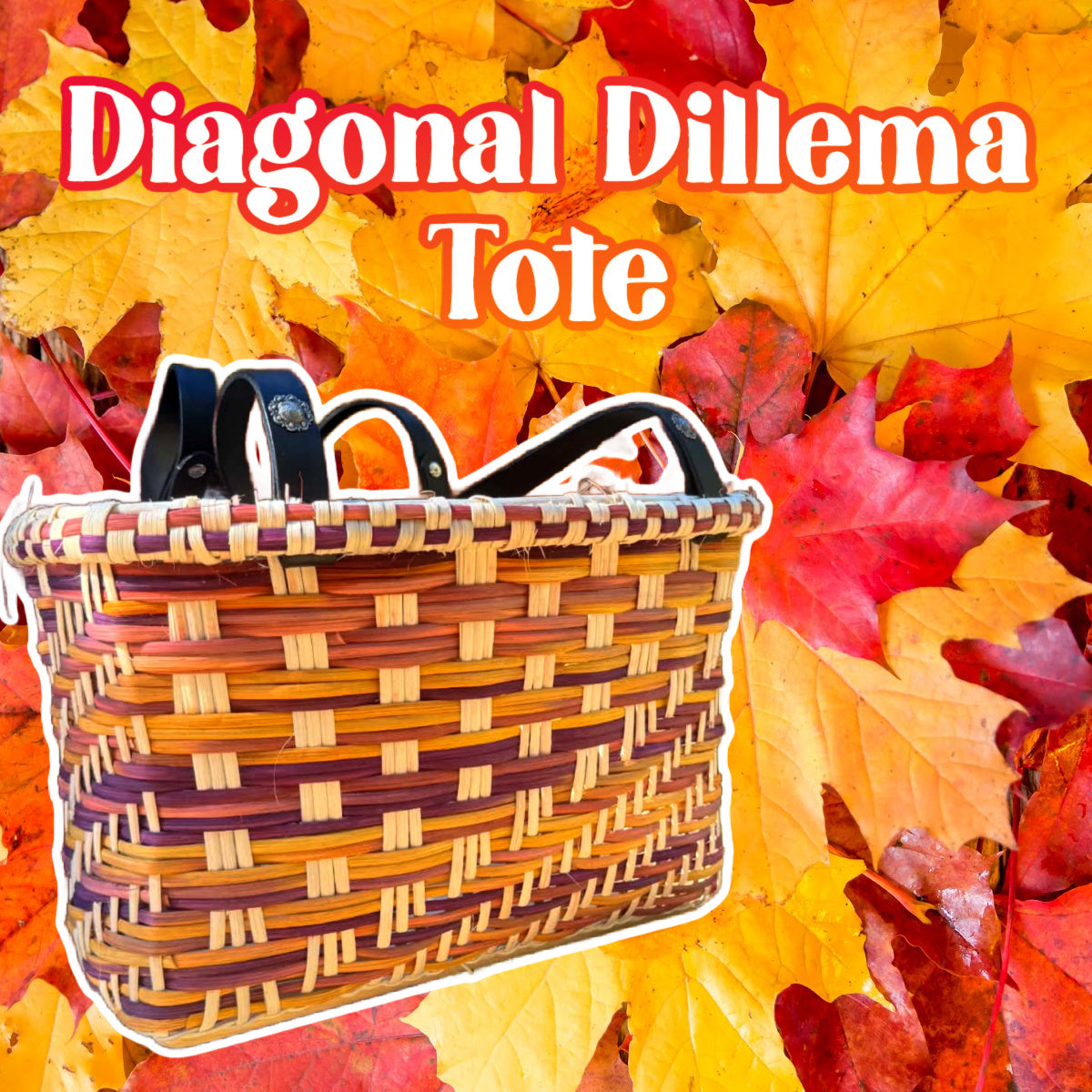 Diagonal Dilemma Tote