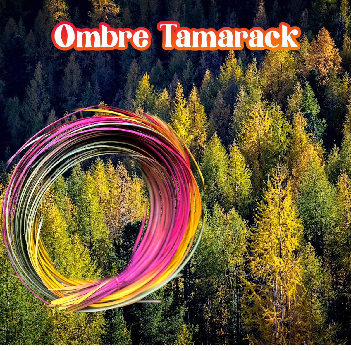 DYE HOUSE ROCKS: Ombre Tamarack