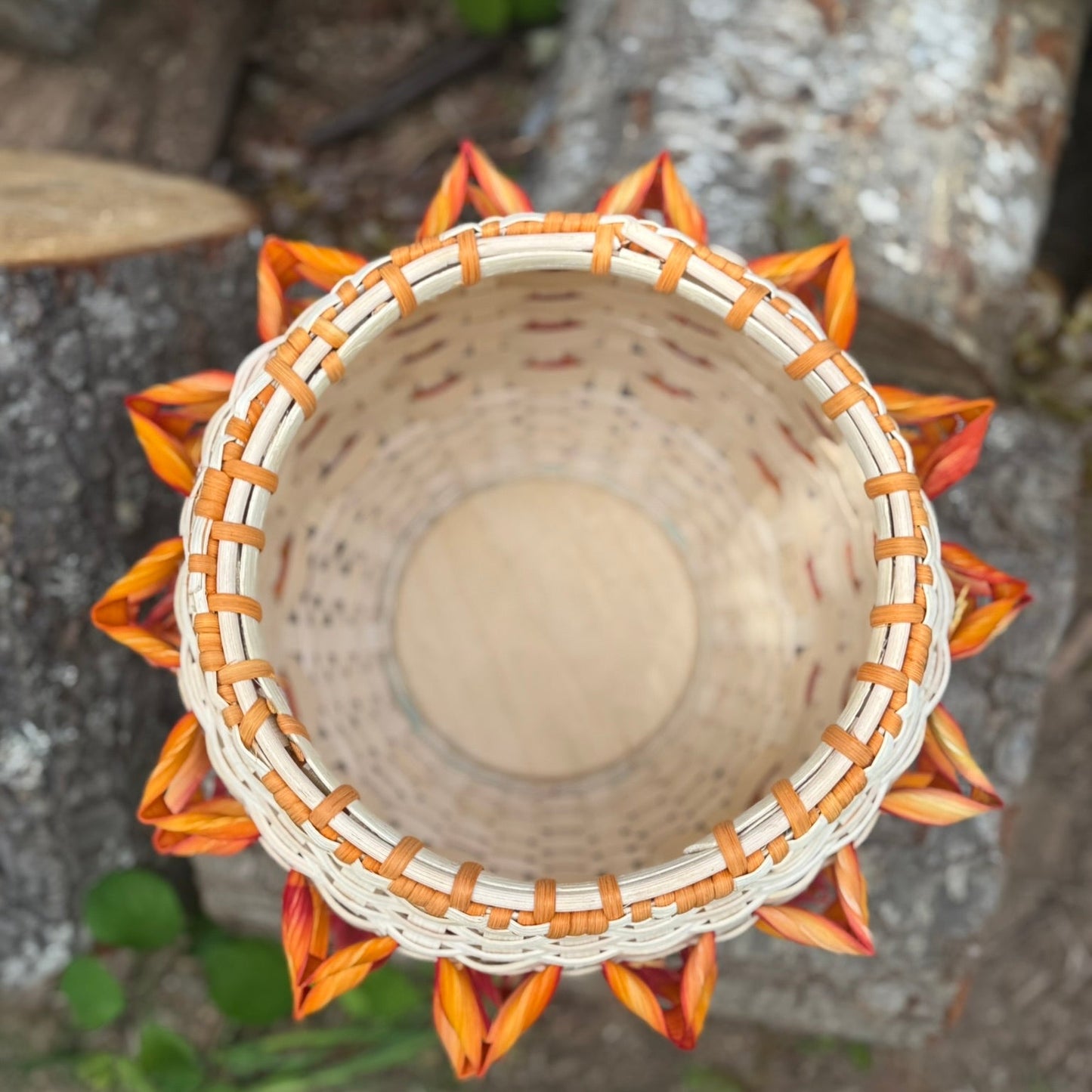 Sun Of The Raven