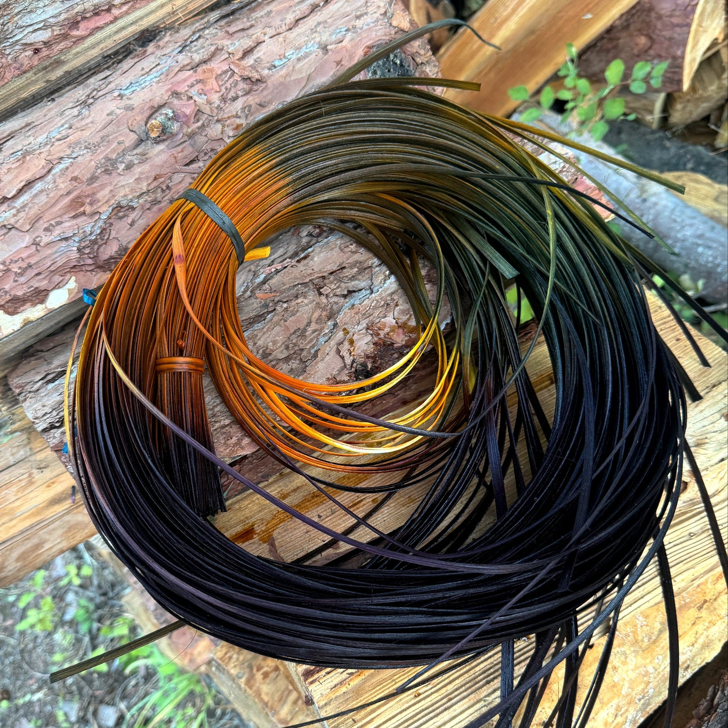 DYE HOUSE ROCKS: Sunflower 1/4" FO Reed One Pound