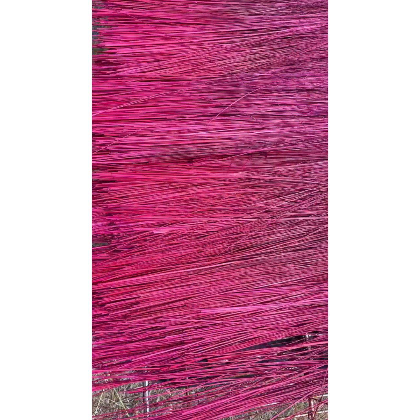BROOM MAKING: DYED (and natural) BROOM CORN