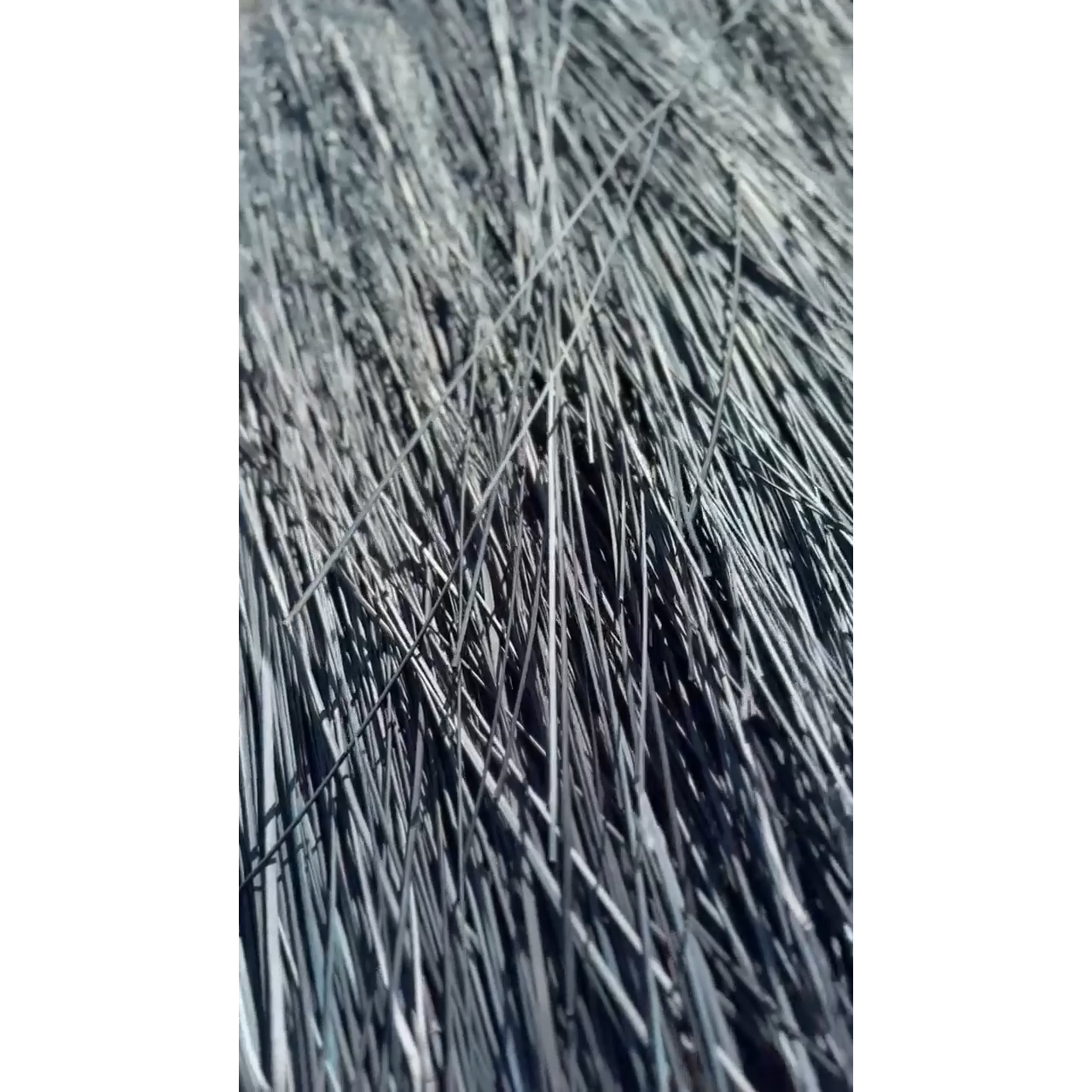 BROOM MAKING: DYED (and natural) BROOM CORN