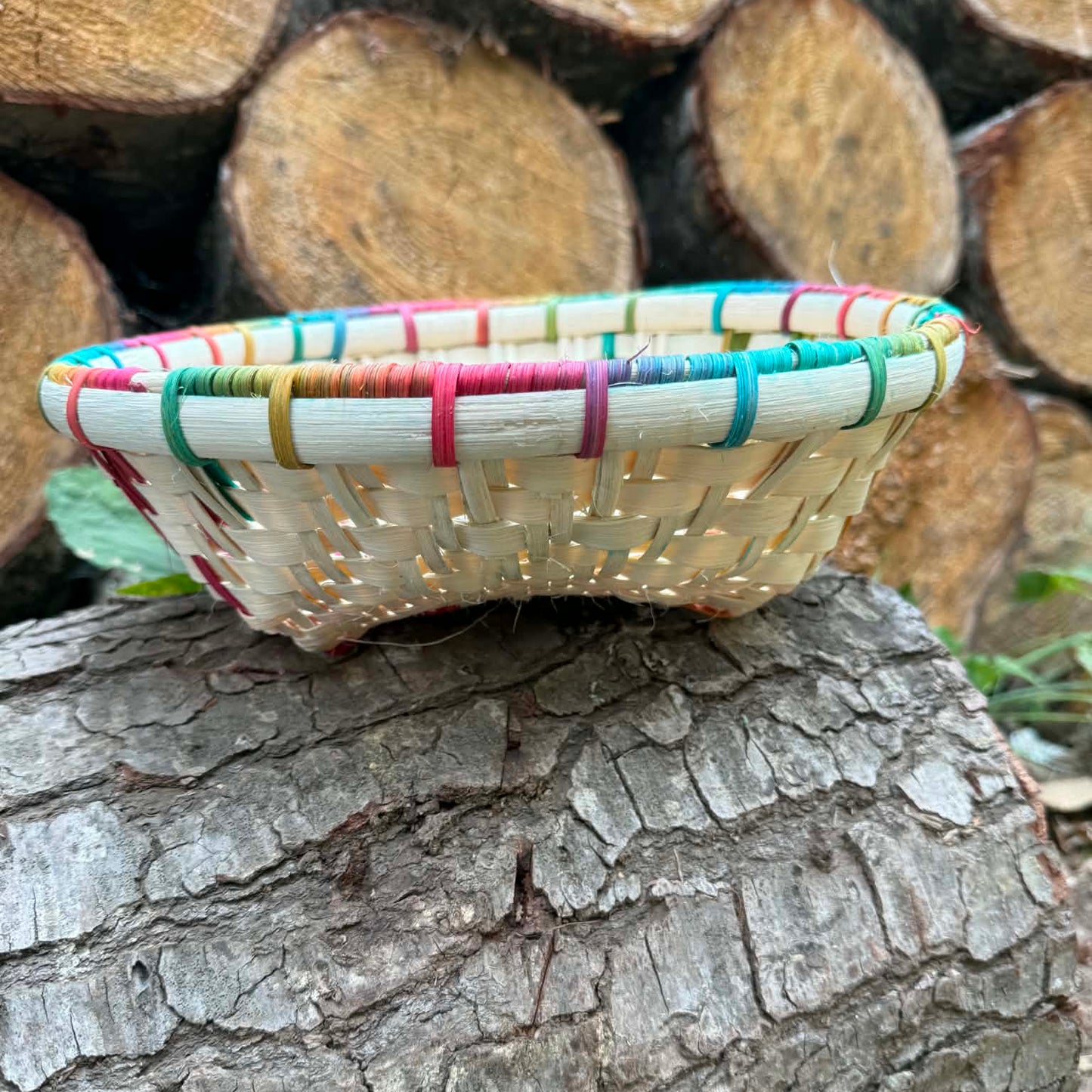 Wild Streak Tray