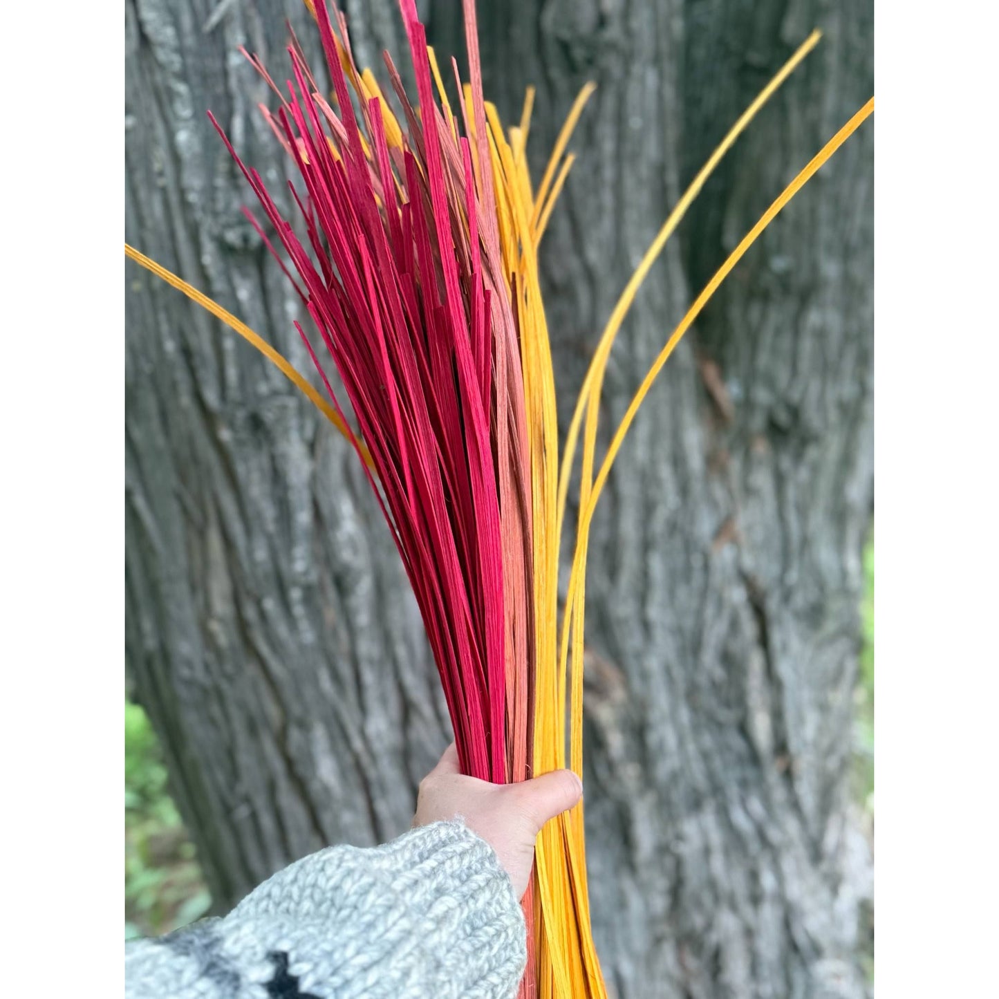 Red 1/4" FO .5 Pound Bundle