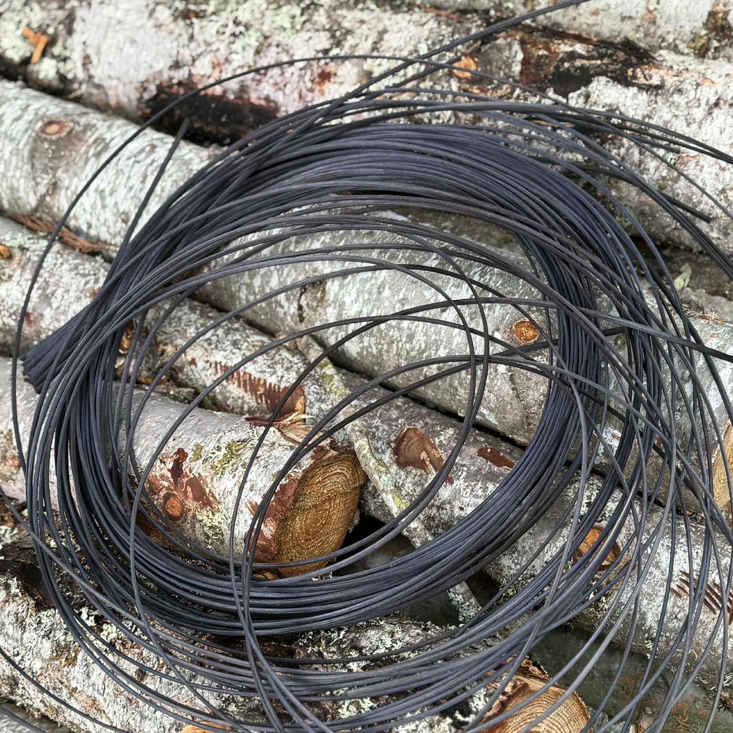 1/4" OVAL OVAL Black Reed One Pound