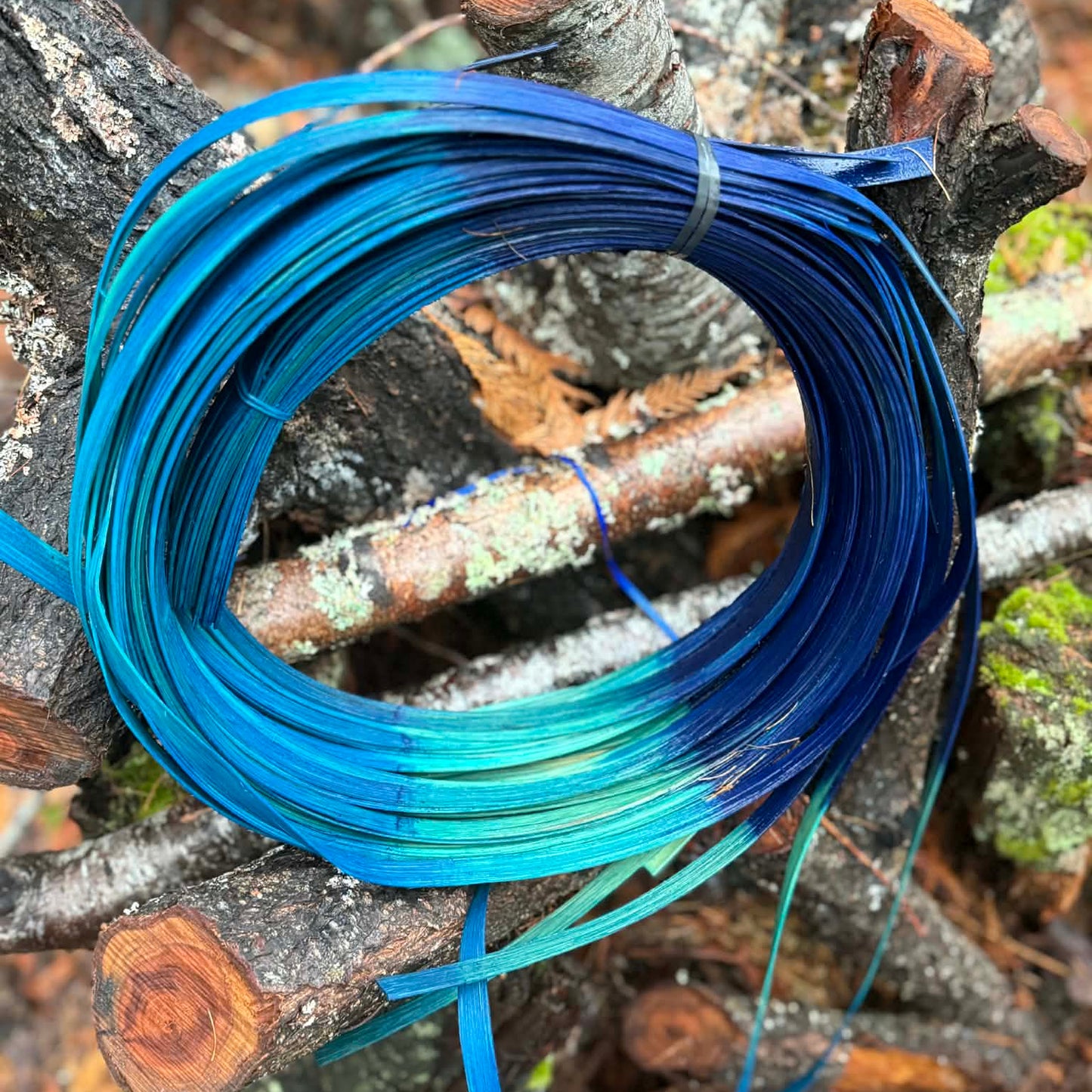 Blue Ombre 1/2" Reed One Pound