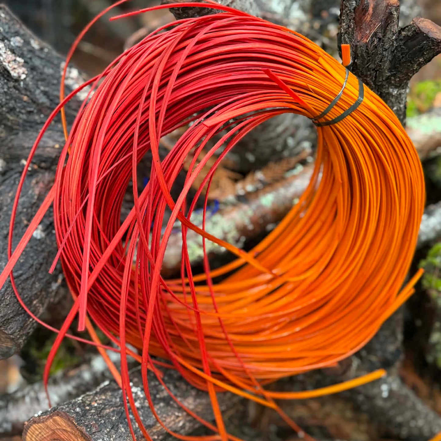 Orange Ombre 3/16" Reed One Pound