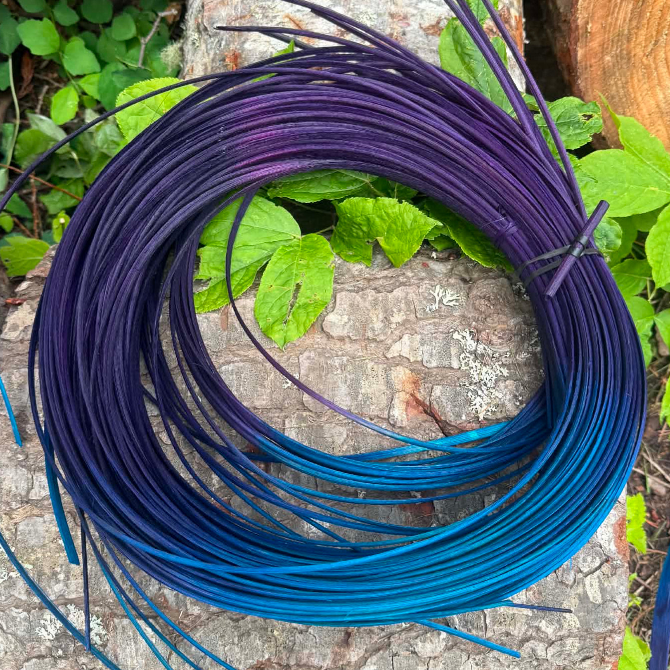 DYE HOUSE ROCKS: Bluebell Bloom 1/4" FO