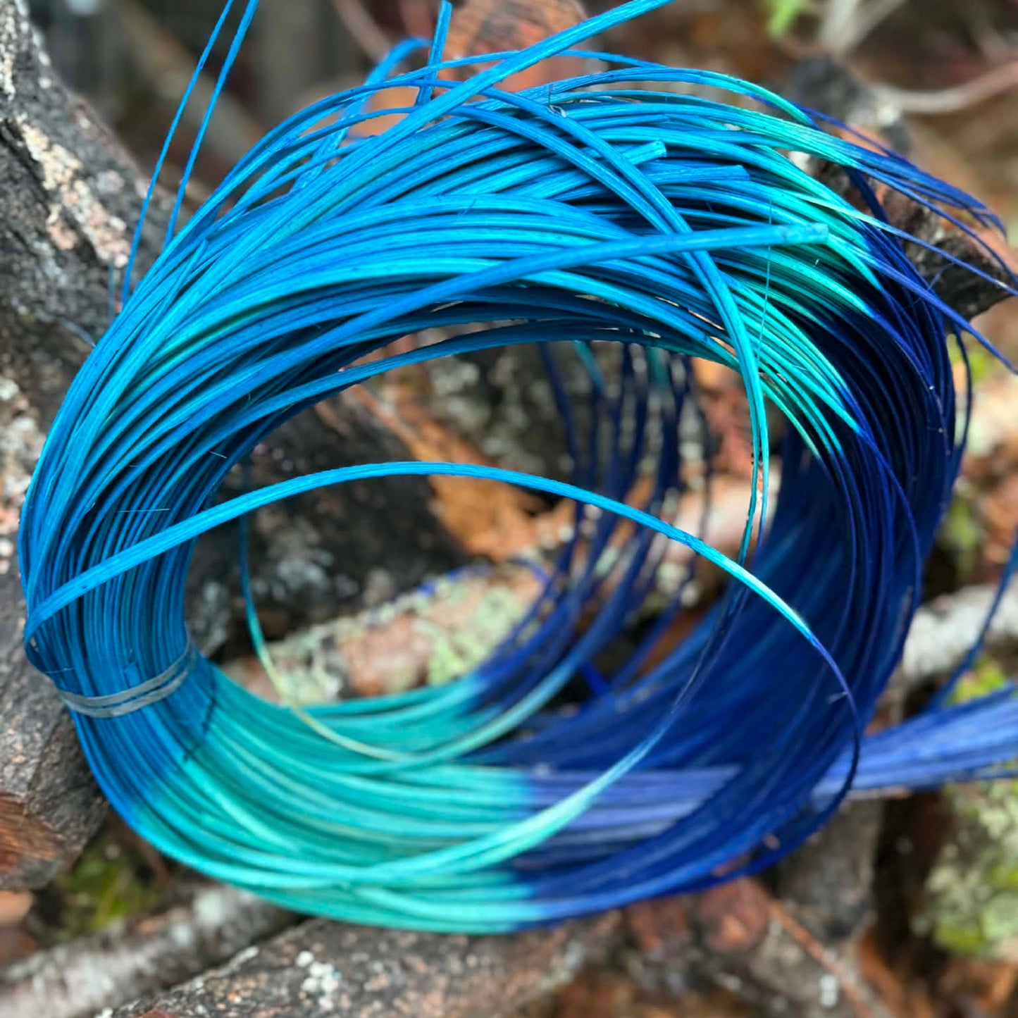 Blue Ombre 3/16" Reed One Pound