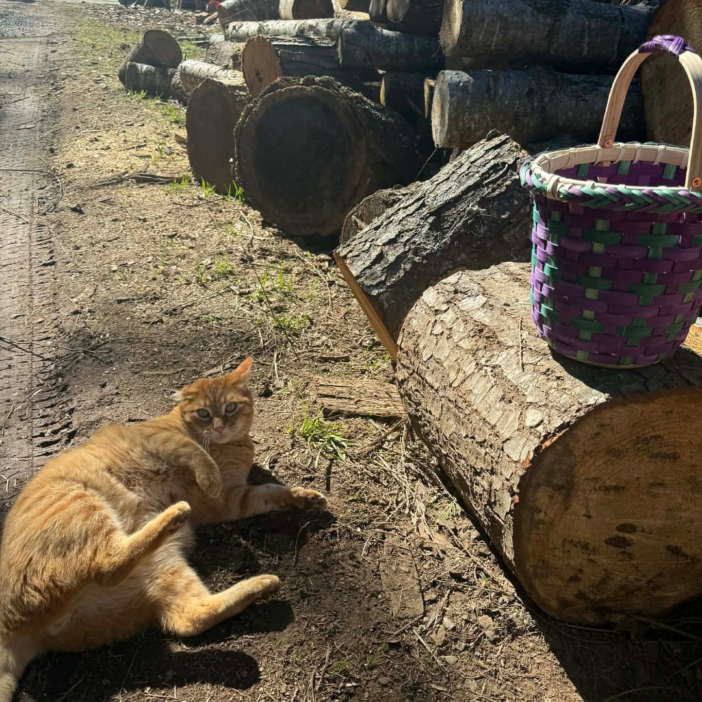 Huckleberry Hill Kit