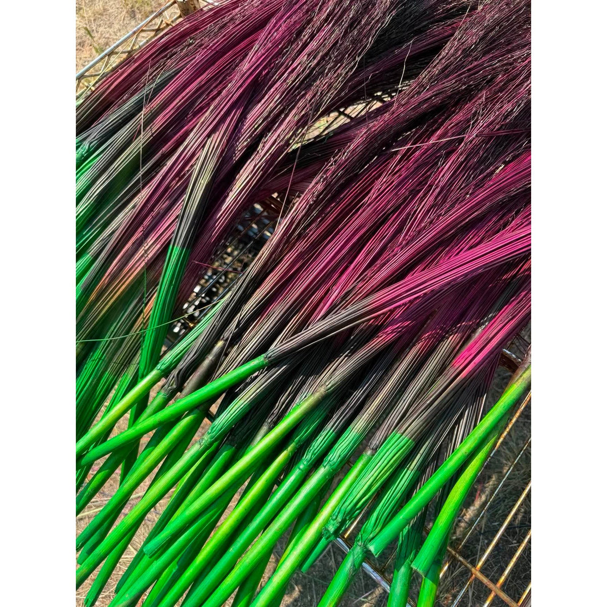 BADASS DYED BROOMCORN