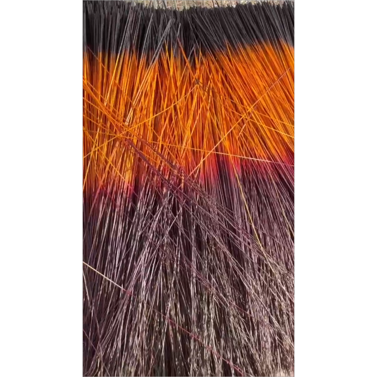 BADASS DYED BROOMCORN