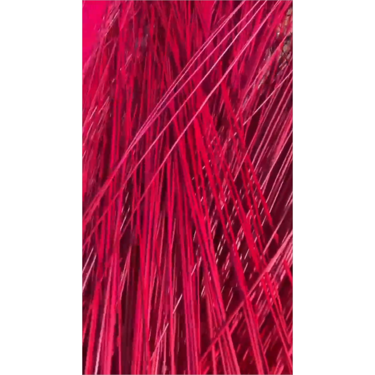 BADASS DYED BROOMCORN
