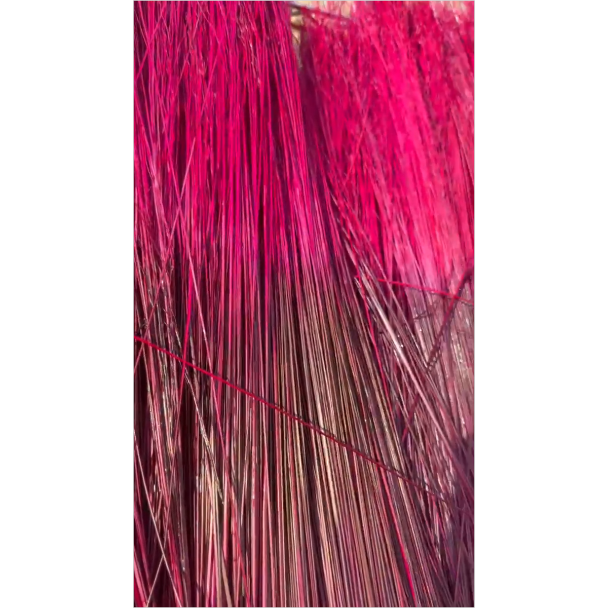 BADASS DYED BROOMCORN