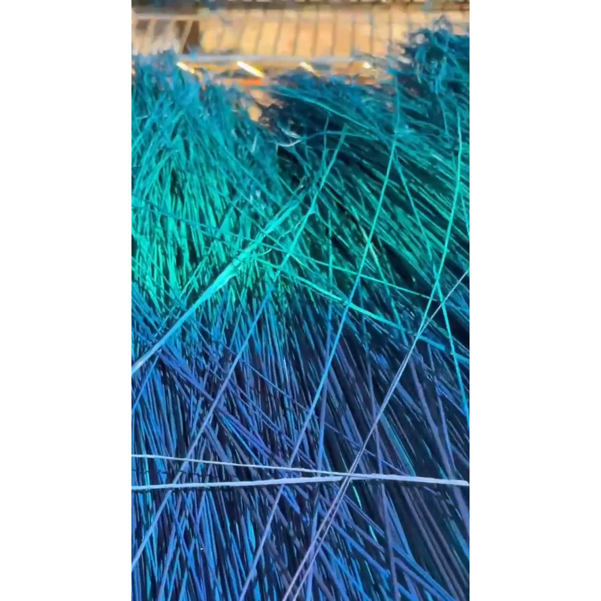 BADASS DYED BROOMCORN