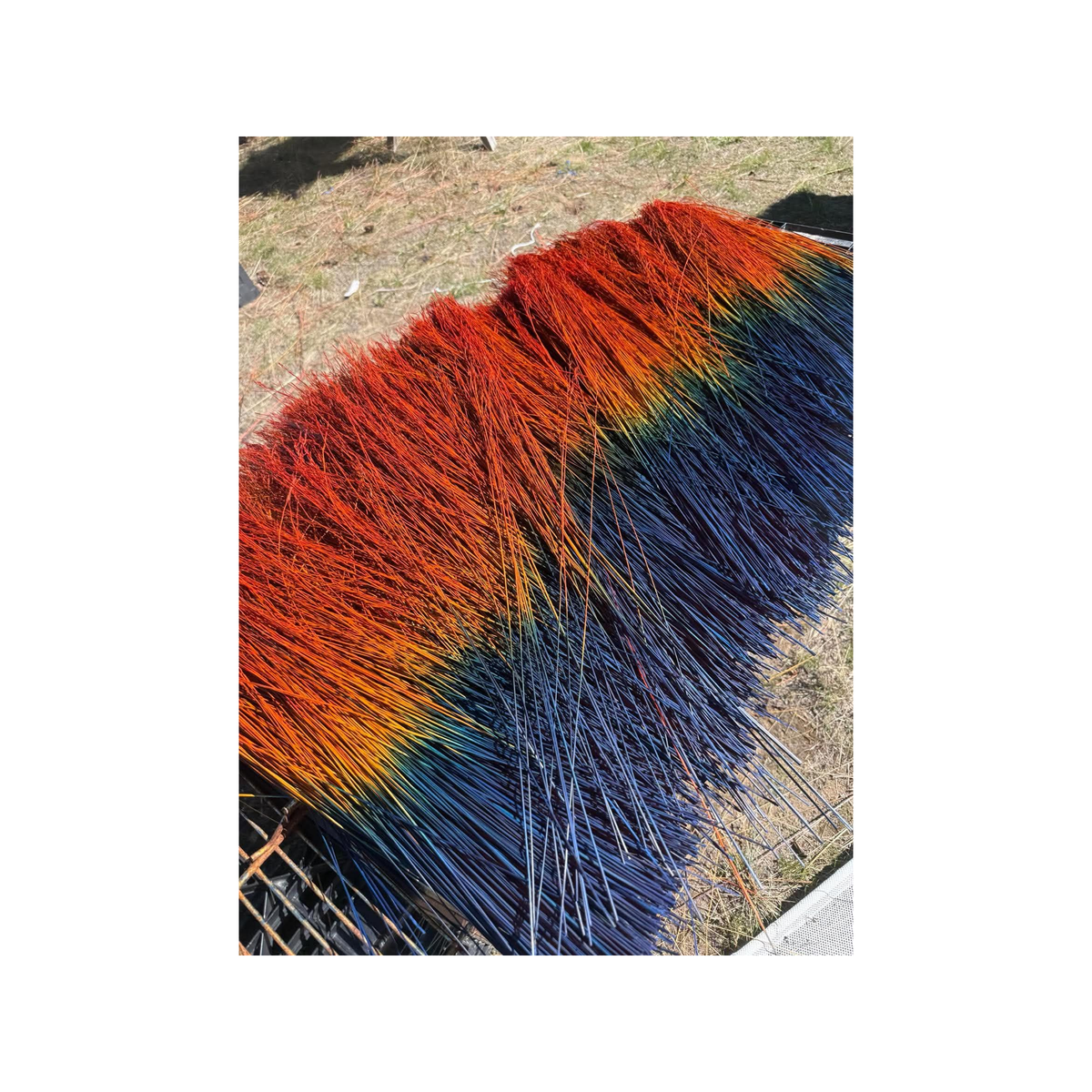 BADASS DYED BROOMCORN