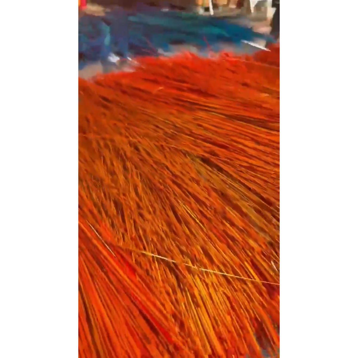 BADASS DYED BROOMCORN