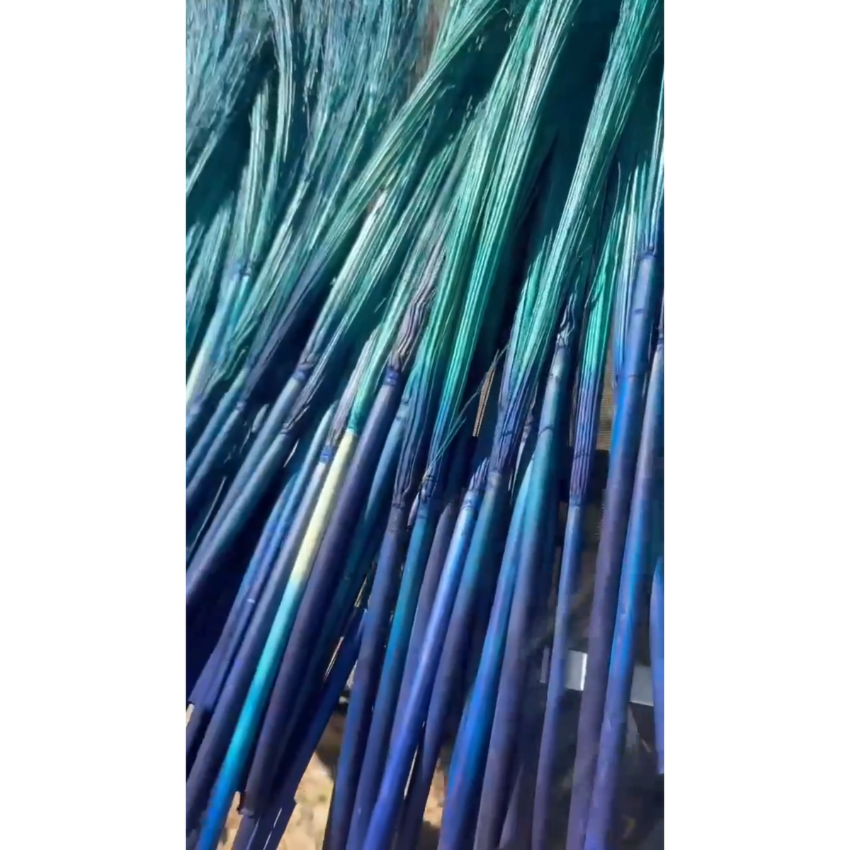 BADASS DYED BROOMCORN