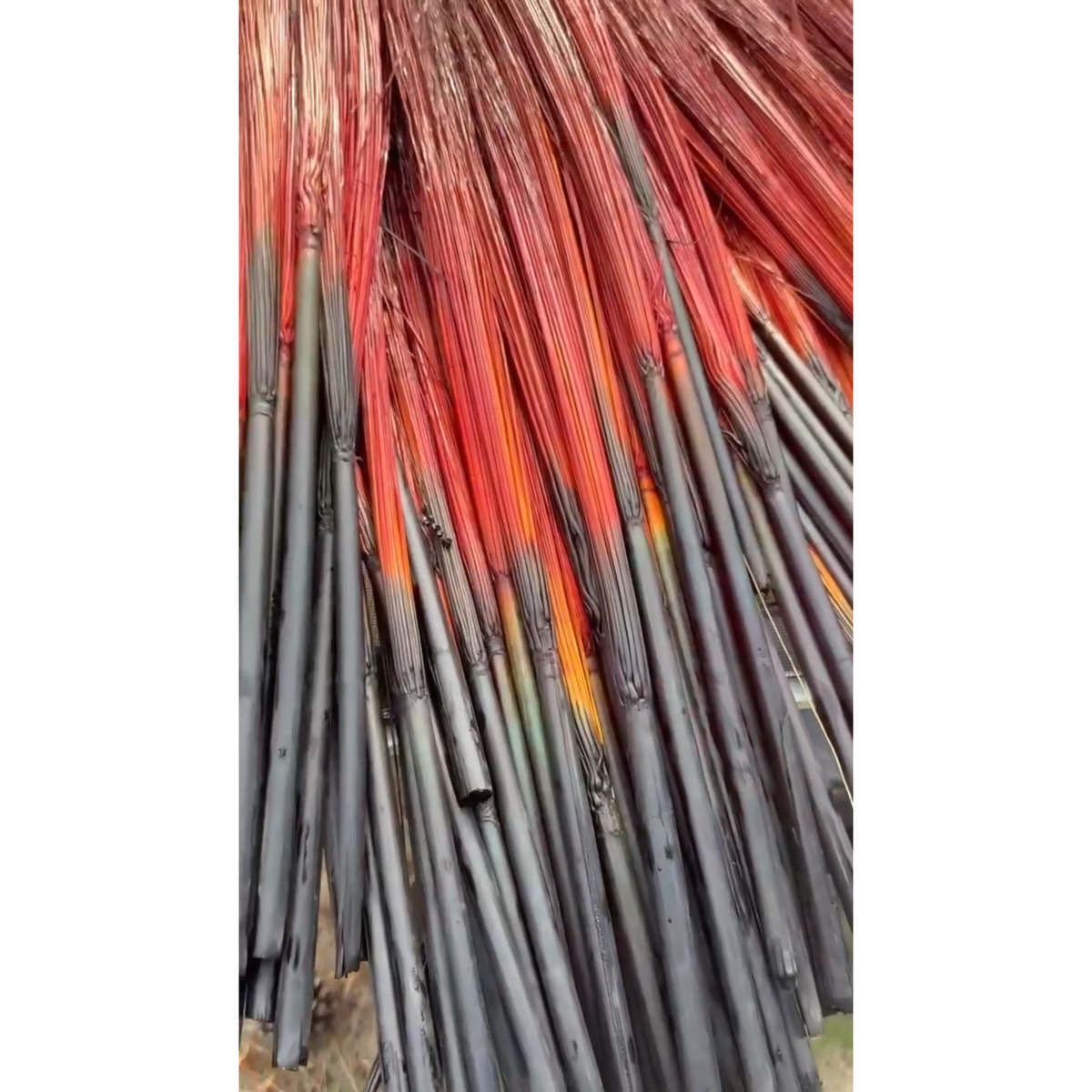 BADASS DYED BROOMCORN