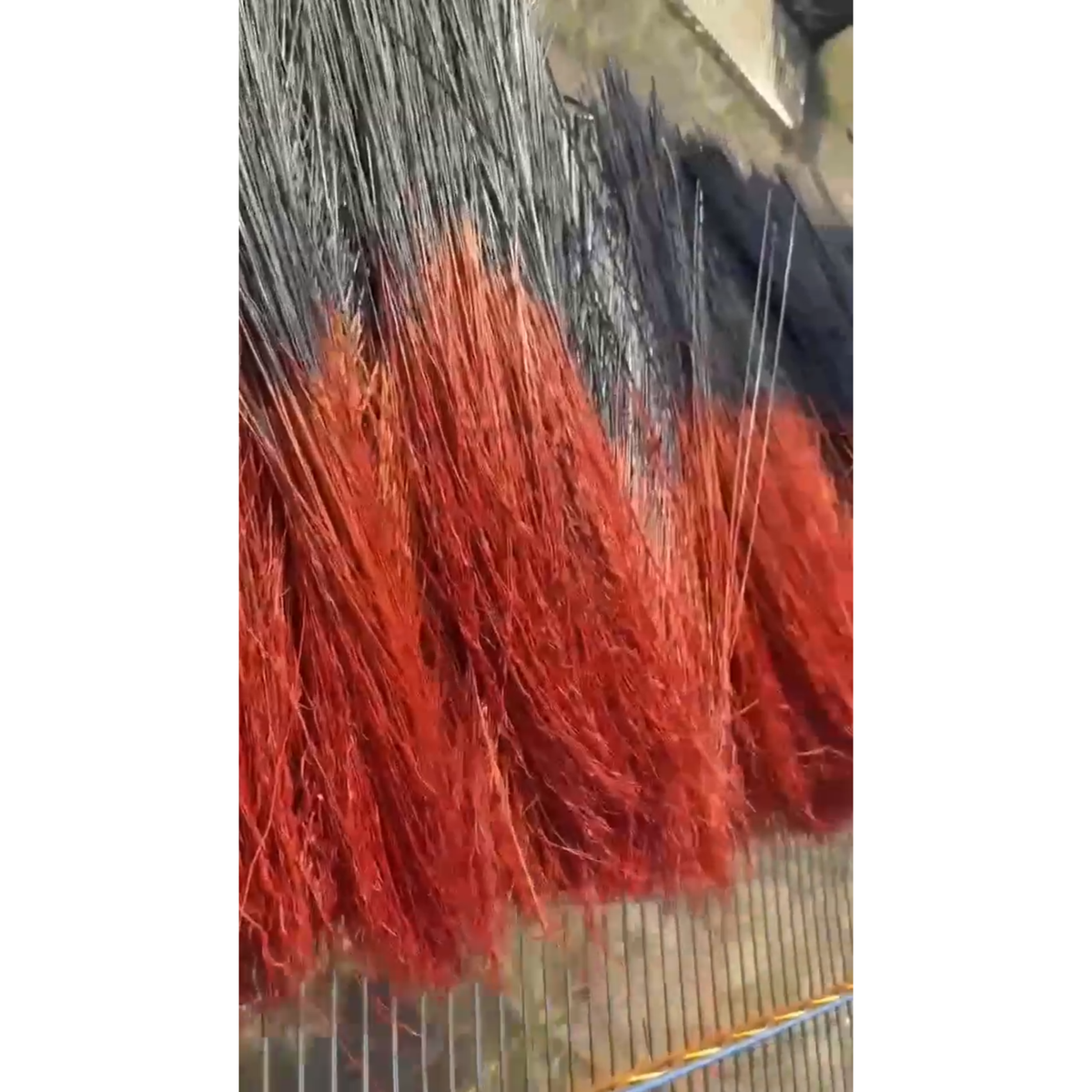 BADASS DYED BROOMCORN
