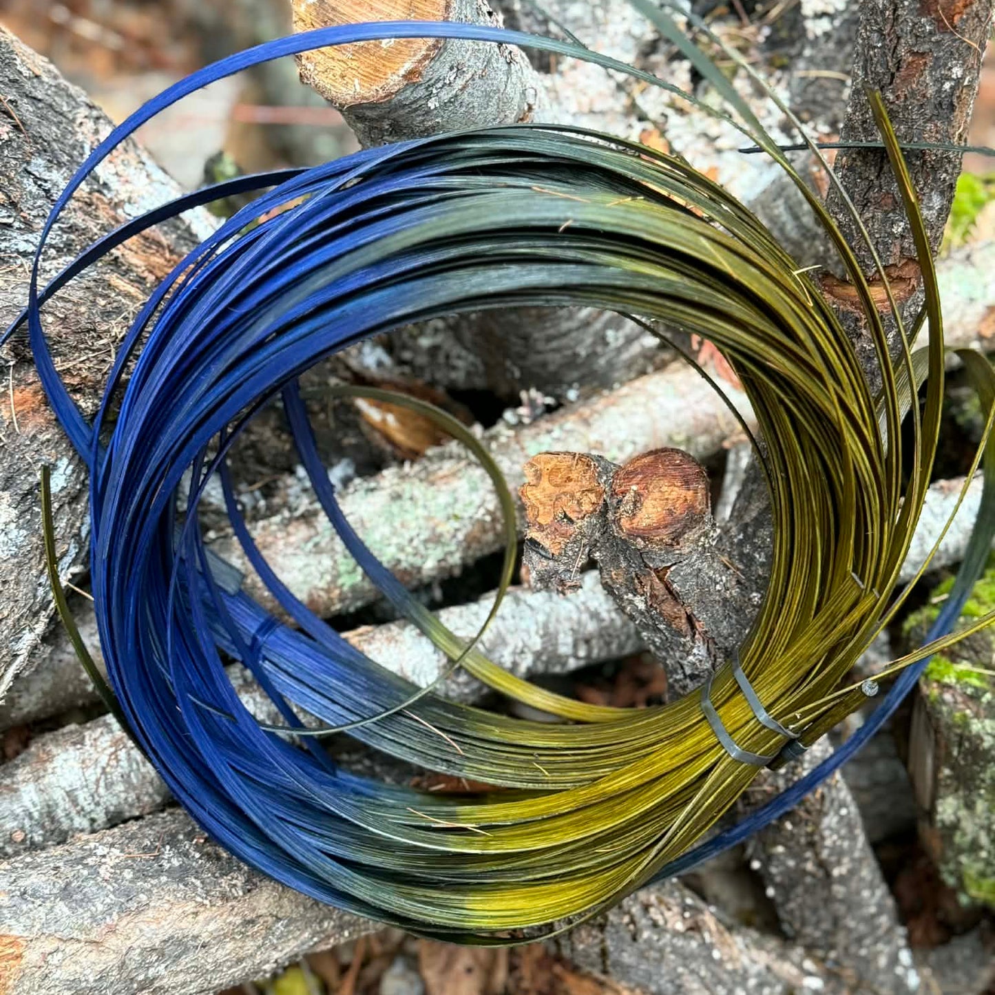 Midnight Tundra 1/2" Reed One Pound