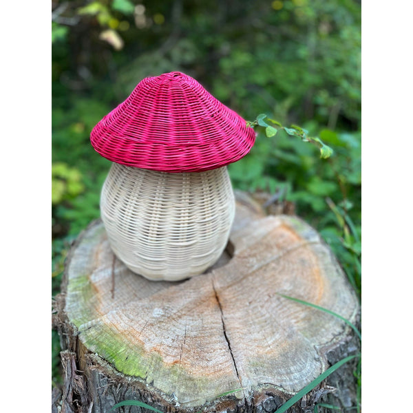 Magic Mushroom
