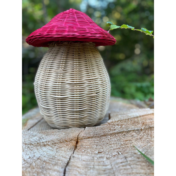 Magic Mushroom