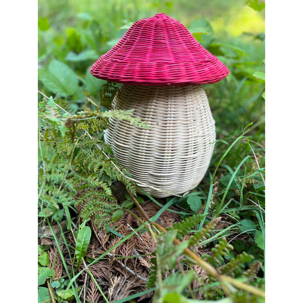 Magic Mushroom