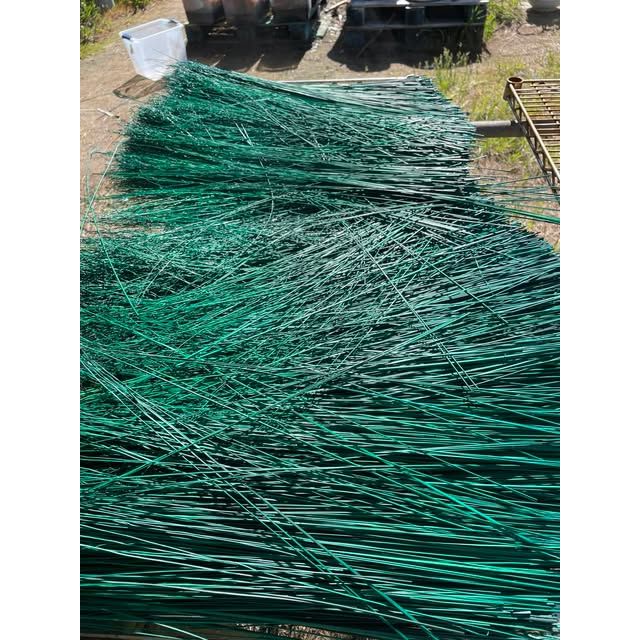BROOM MAKING:  DYED (and natural) BROOM CORN