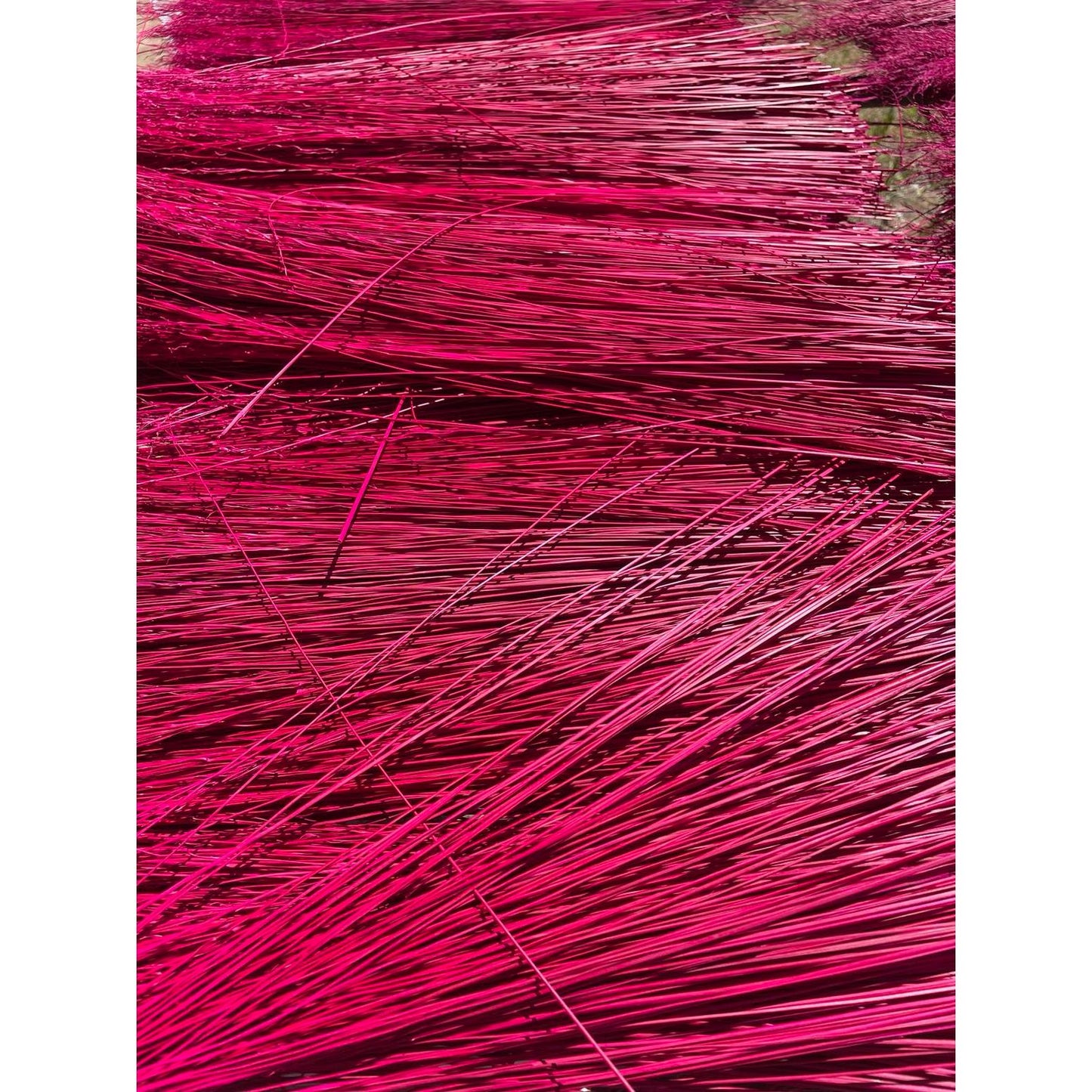 BROOM MAKING:  DYED (and natural) BROOM CORN