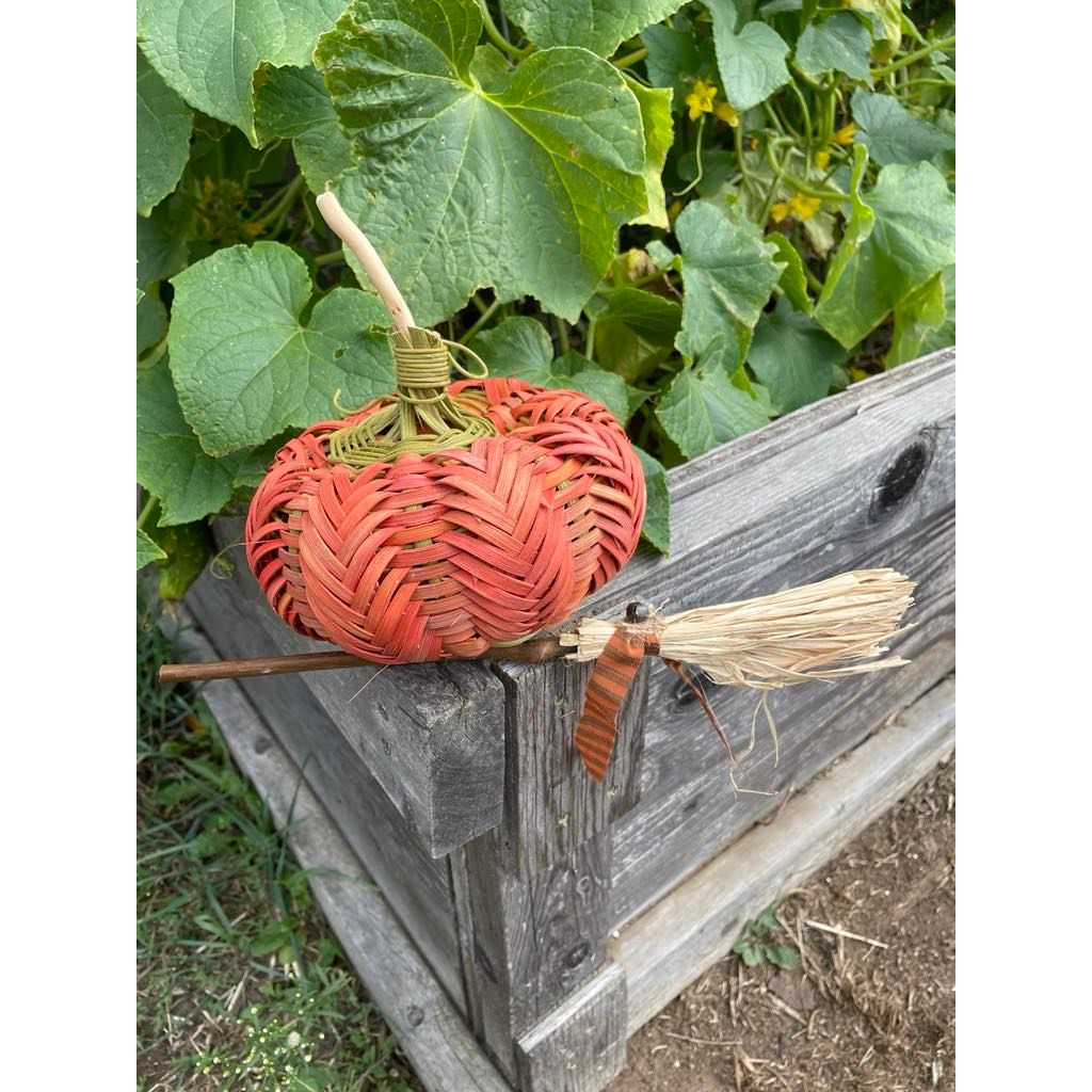 Witch  Pumpkin?